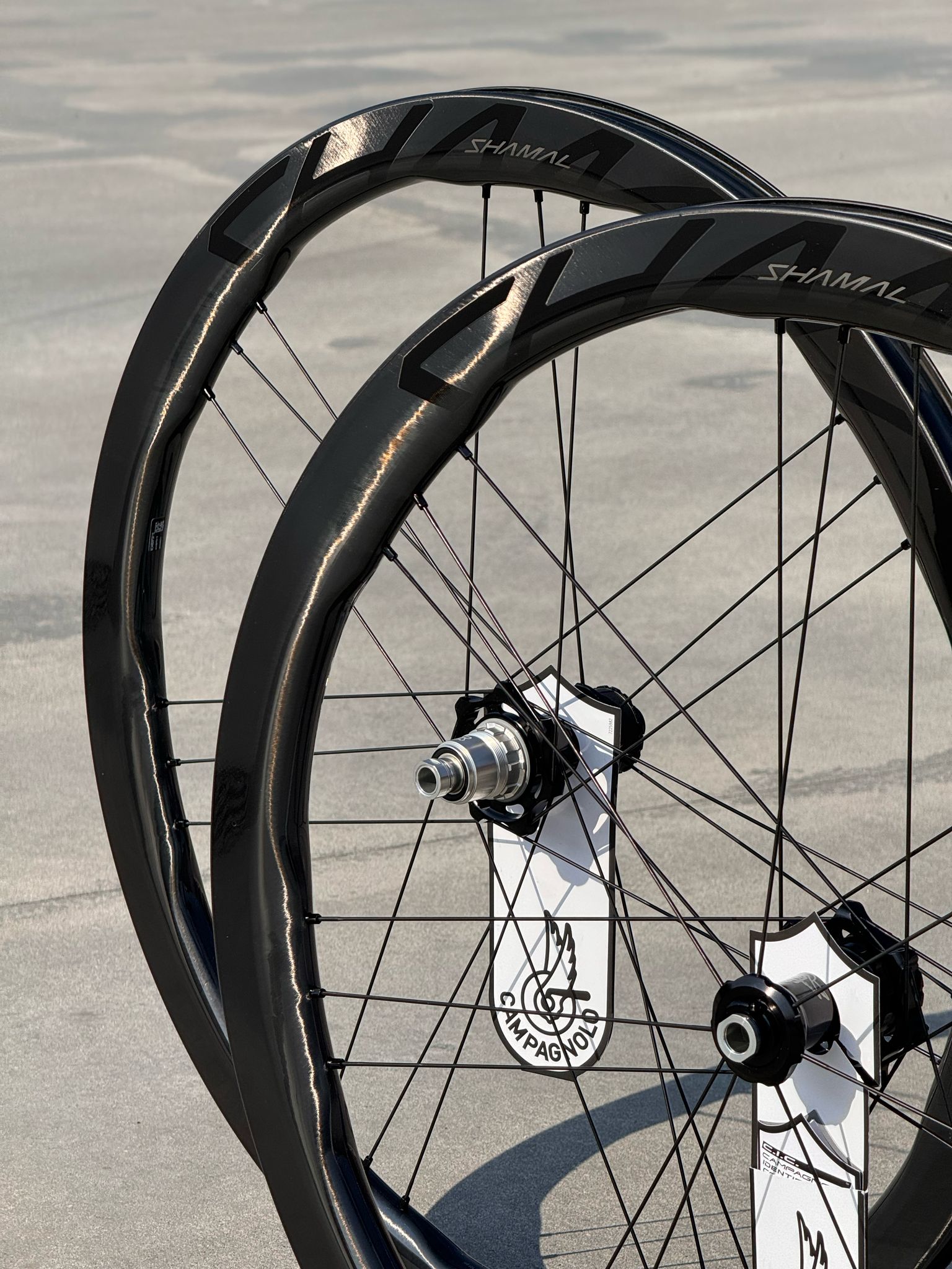 【新品未使用】Campagnolo SHAMAL DUAL PROFILE Campagnolo Shamal Dual Profile: the wheel that redefines