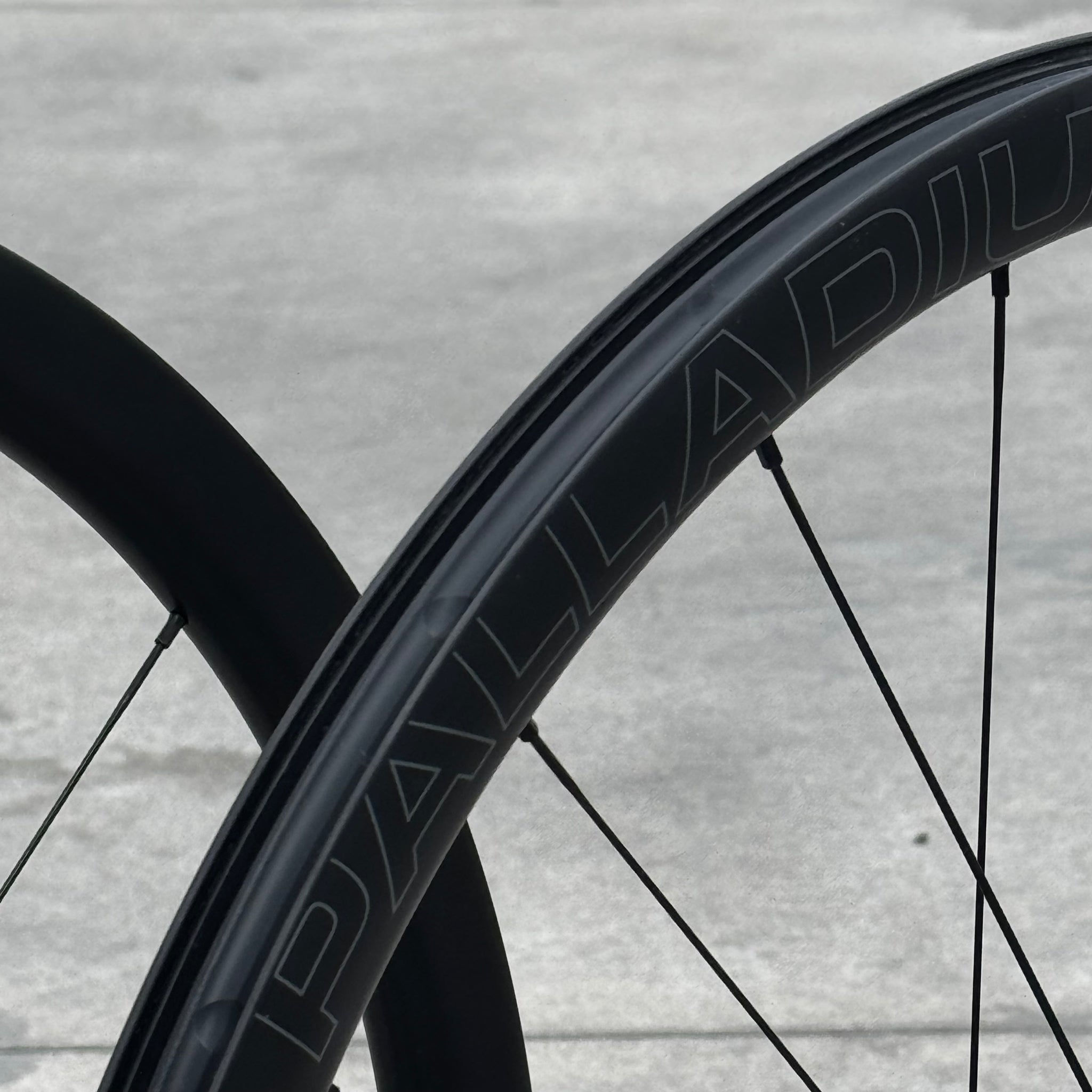 Velomann Palladium 33 Wheels - Demo