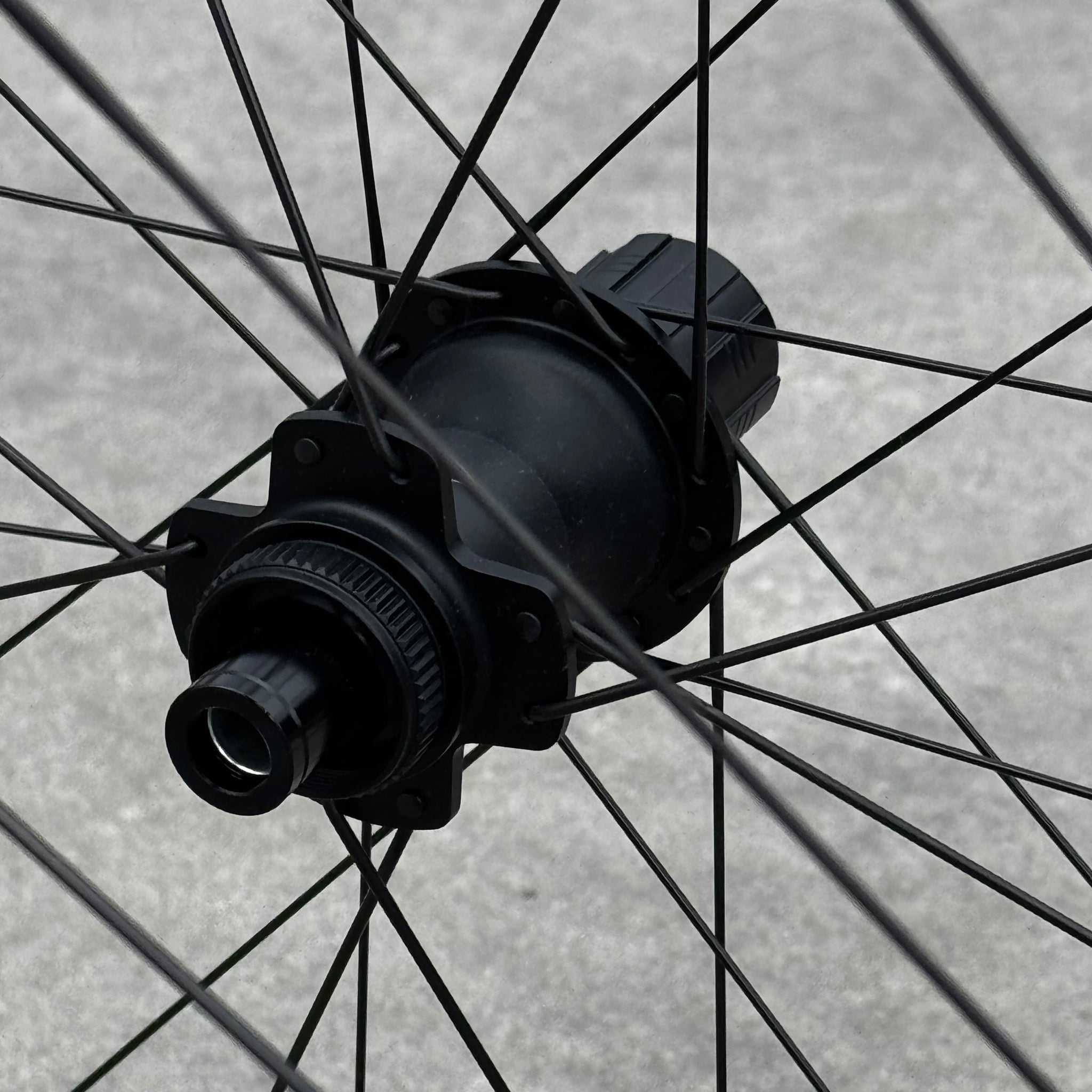 Velomann Palladium 33 Wheels - Demo