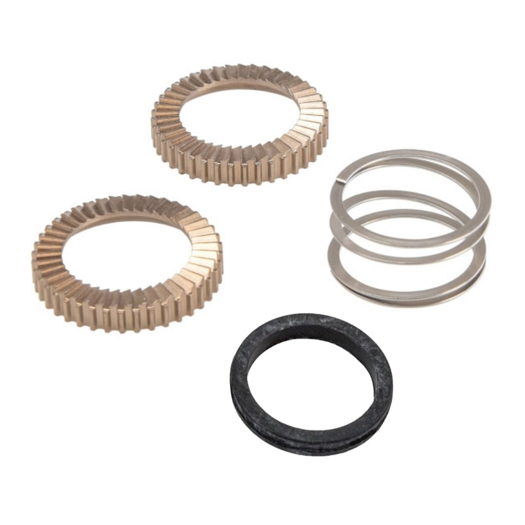 Spring Grease Kit Cricchetti di Ricambio con Molla e Grasso per Mozzi e Corpetti ...