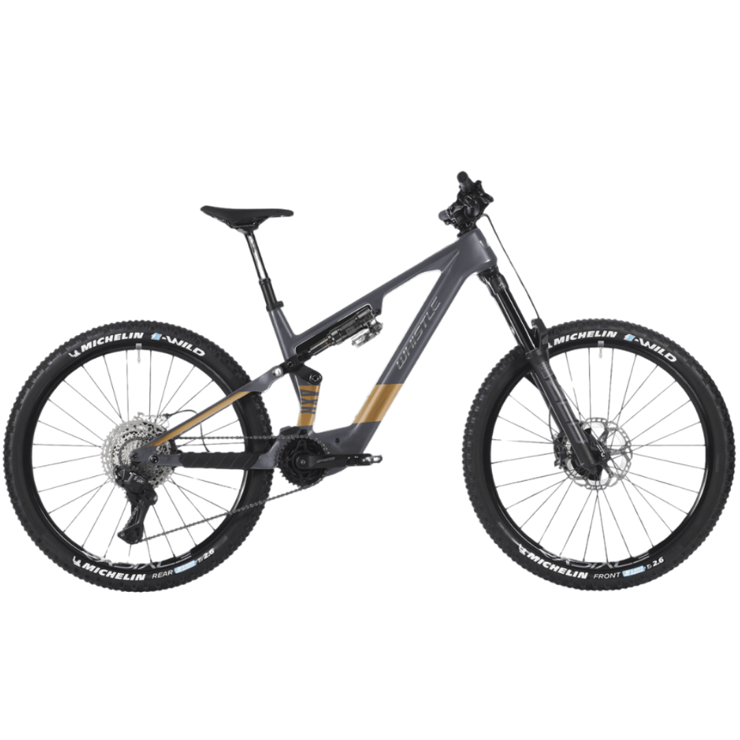Whistle AXR C8.6 Bicycle