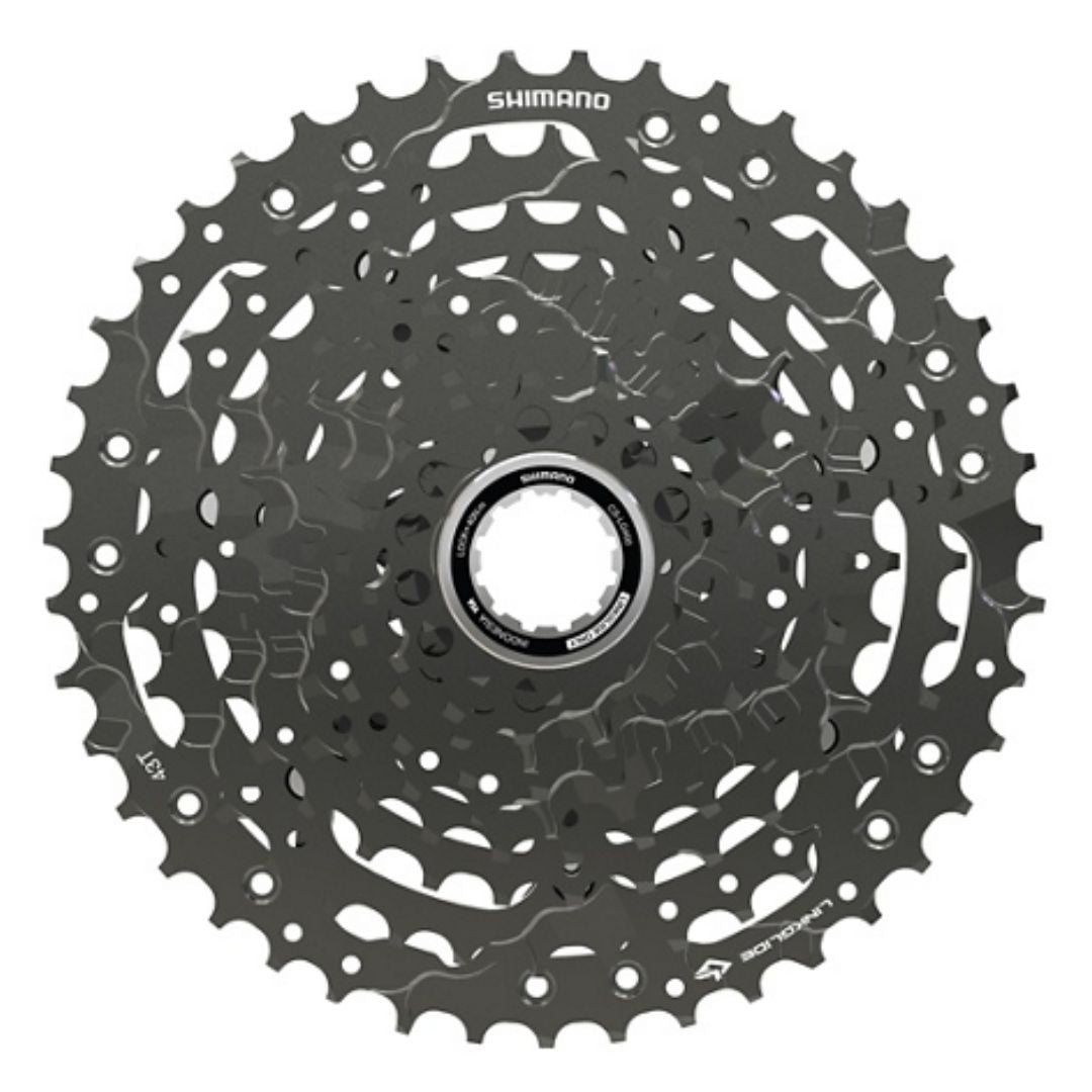 Cassetta Pignoni XLC 10 Velocità - Per Bici, Acciaio Cromato, Compatibile Campagnolo - Foto 12